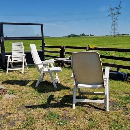 City Farmers Lodge, A Guesthouse With A Skyline View In Rural Amsterdam Eksteriør bilde