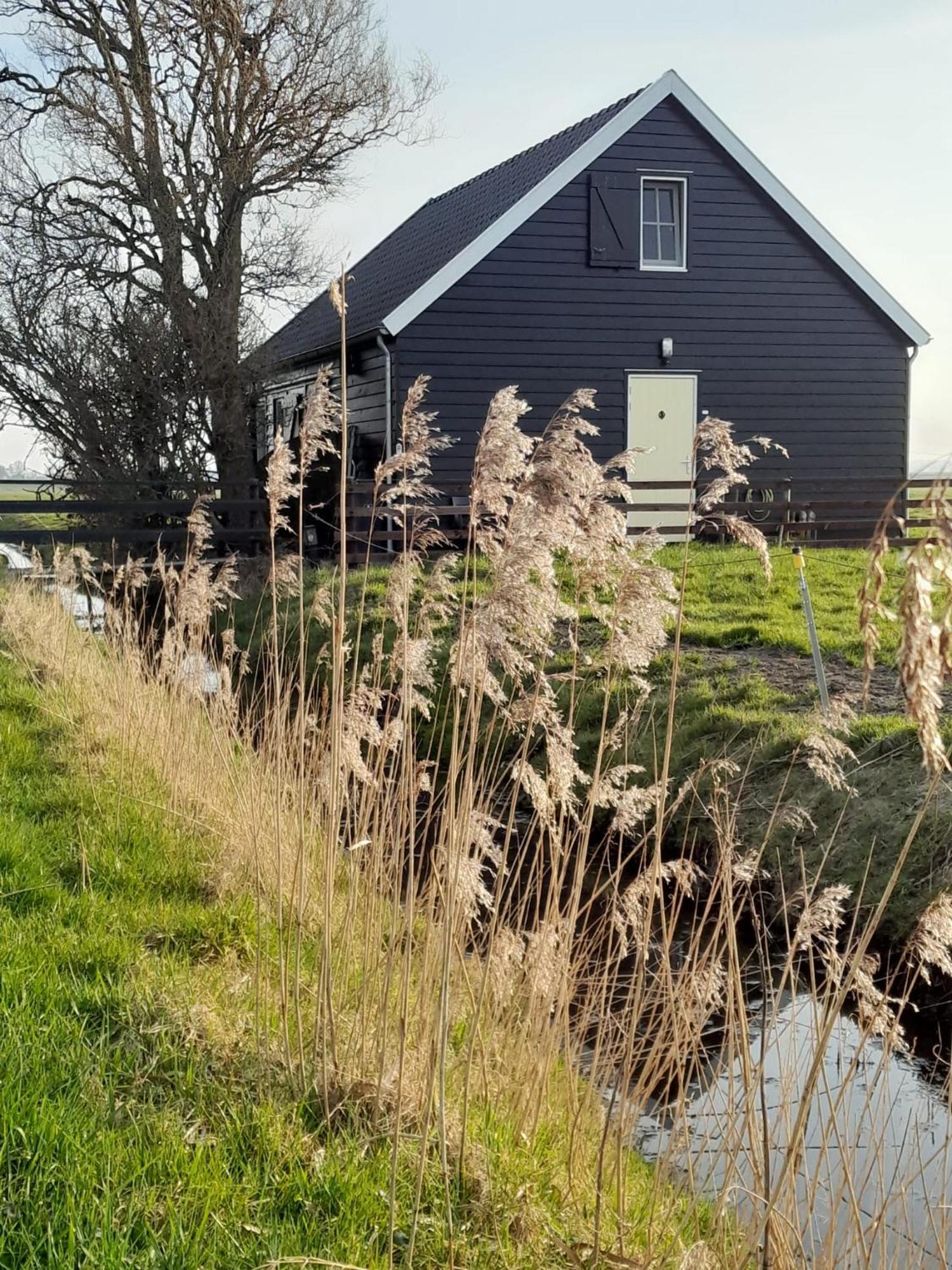 City Farmers Lodge, A Guesthouse With A Skyline View In Rural Amsterdam Eksteriør bilde