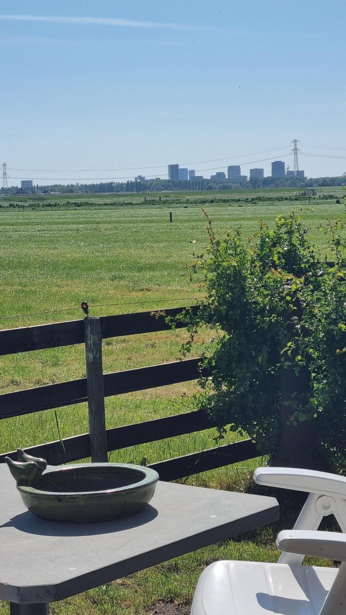City Farmers Lodge, A Guesthouse With A Skyline View In Rural Amsterdam Eksteriør bilde